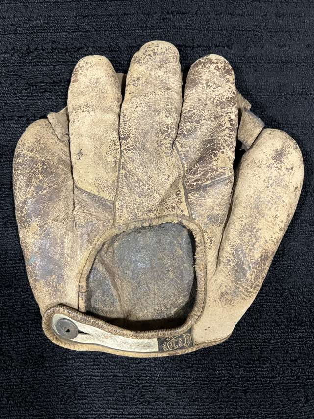 A.J. Reach Ambidextrous Glove Back